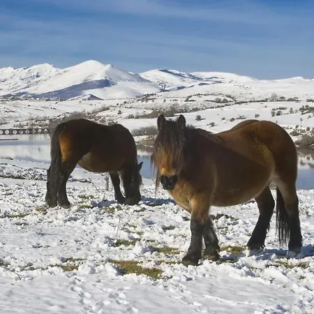 El Palacio Del Campo Gospodarstwo wiejskie