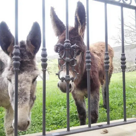 El Palacio Del Campo *