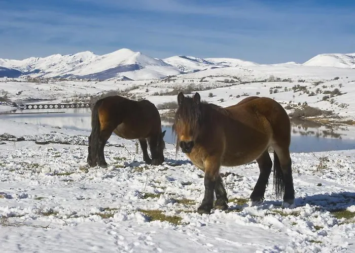 El Palacio Del Campo Lantställe