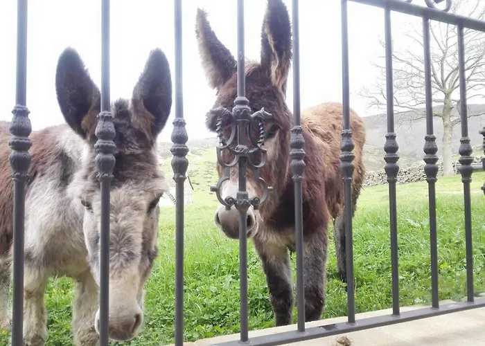El Palacio Del Campo *