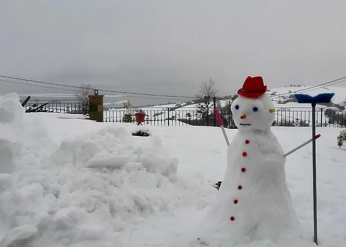 El Palacio Del Campo *